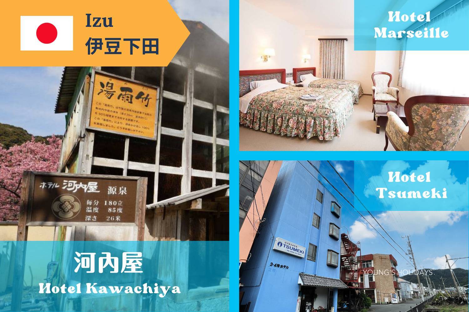 【Izu】Kumomi / Mikomoto IslandDiving with Hammerhead Sharks 4 Days 3 Nights Japan Diving Package