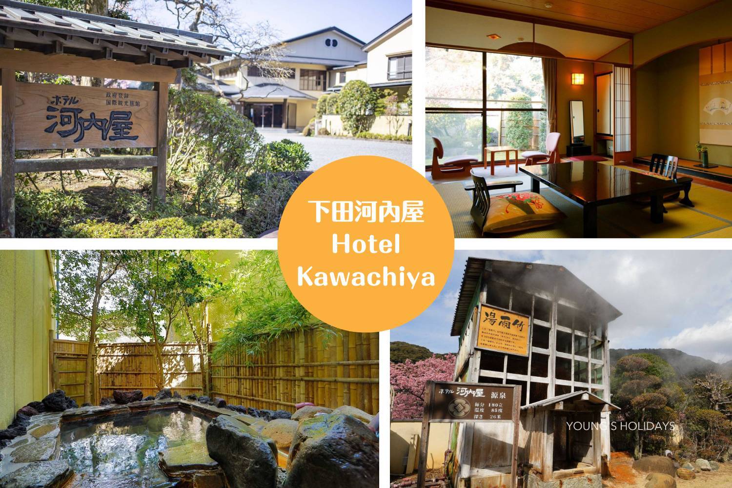 【Izu】Kumomi / Mikomoto IslandDiving with Hammerhead Sharks 4 Days 3 Nights Japan Diving Package