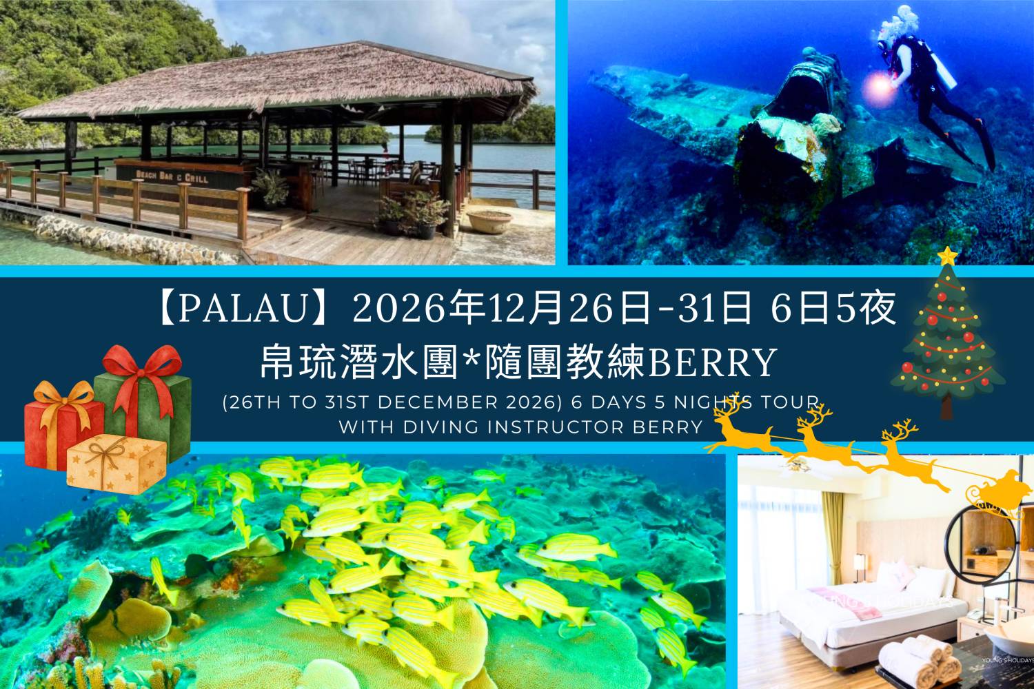 【Palau】6 Days 5 Nights Tour with diving instructor Berry (26th to 31st December 2026)