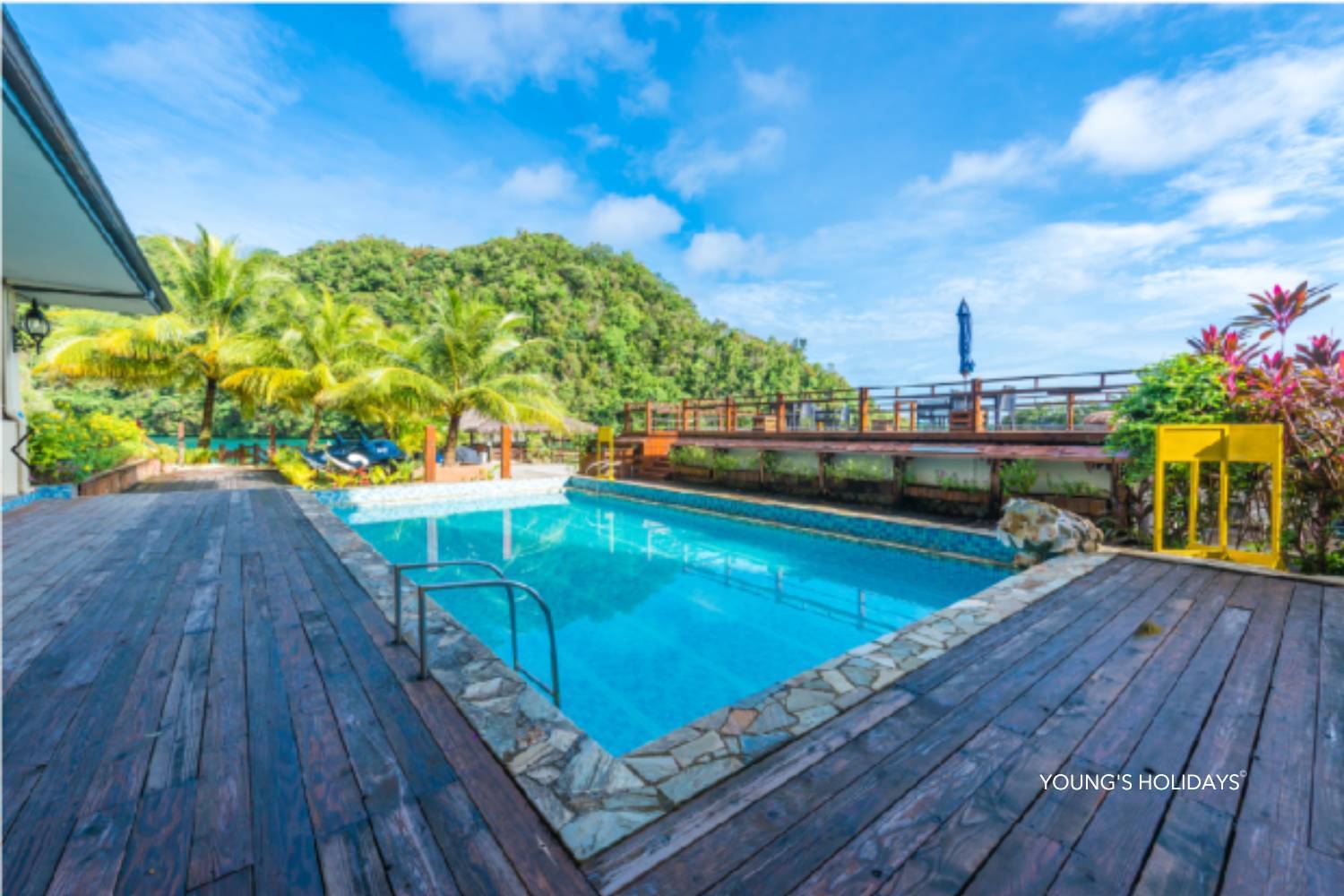 【Palau】6 Days 5 Nights Tour with diving instructor Berry (26th to 31st December 2026)