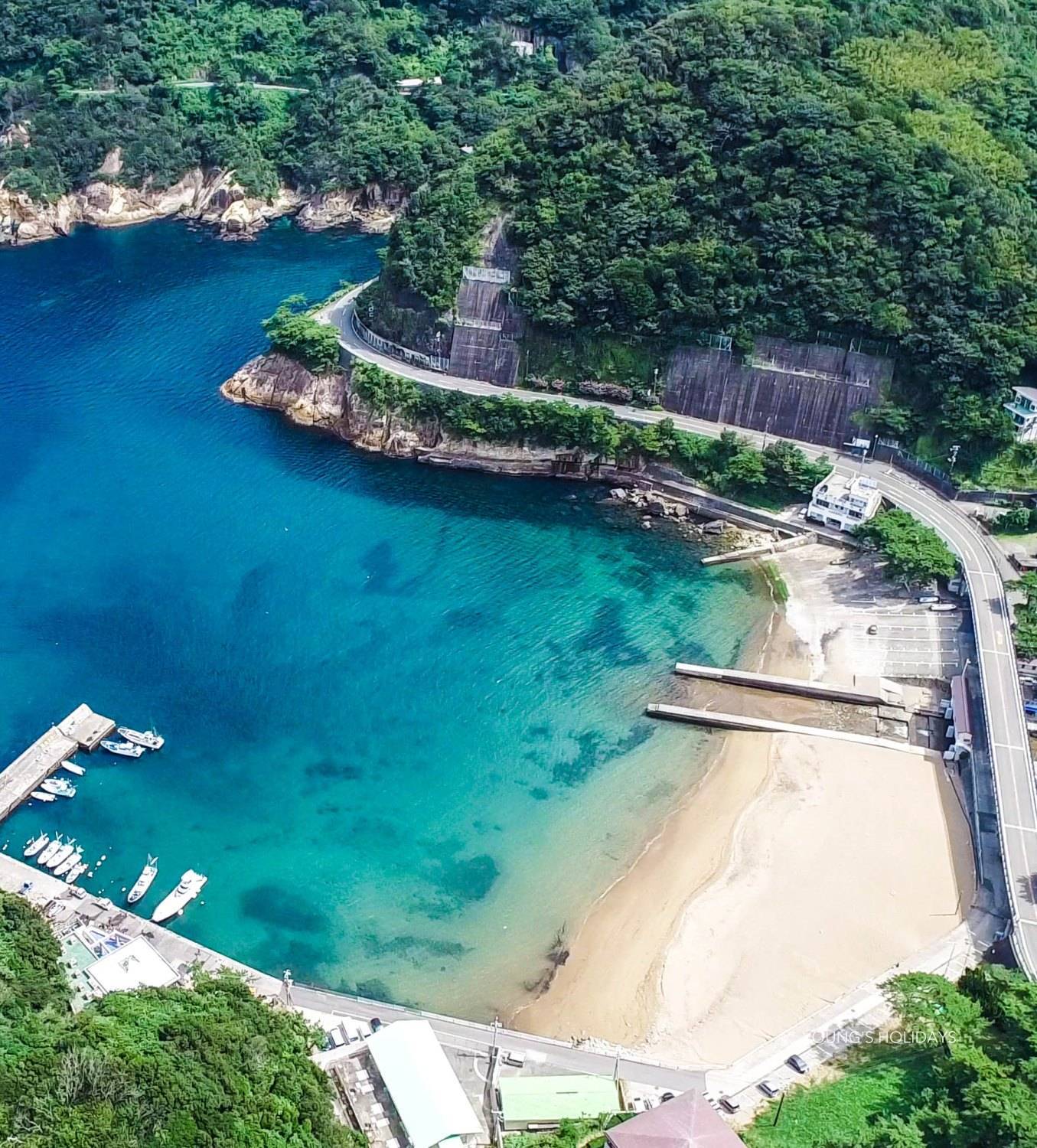 【Izu】Kumomi / Mikomoto IslandDiving with Hammerhead Sharks 4 Days 3 Nights Japan Diving Package