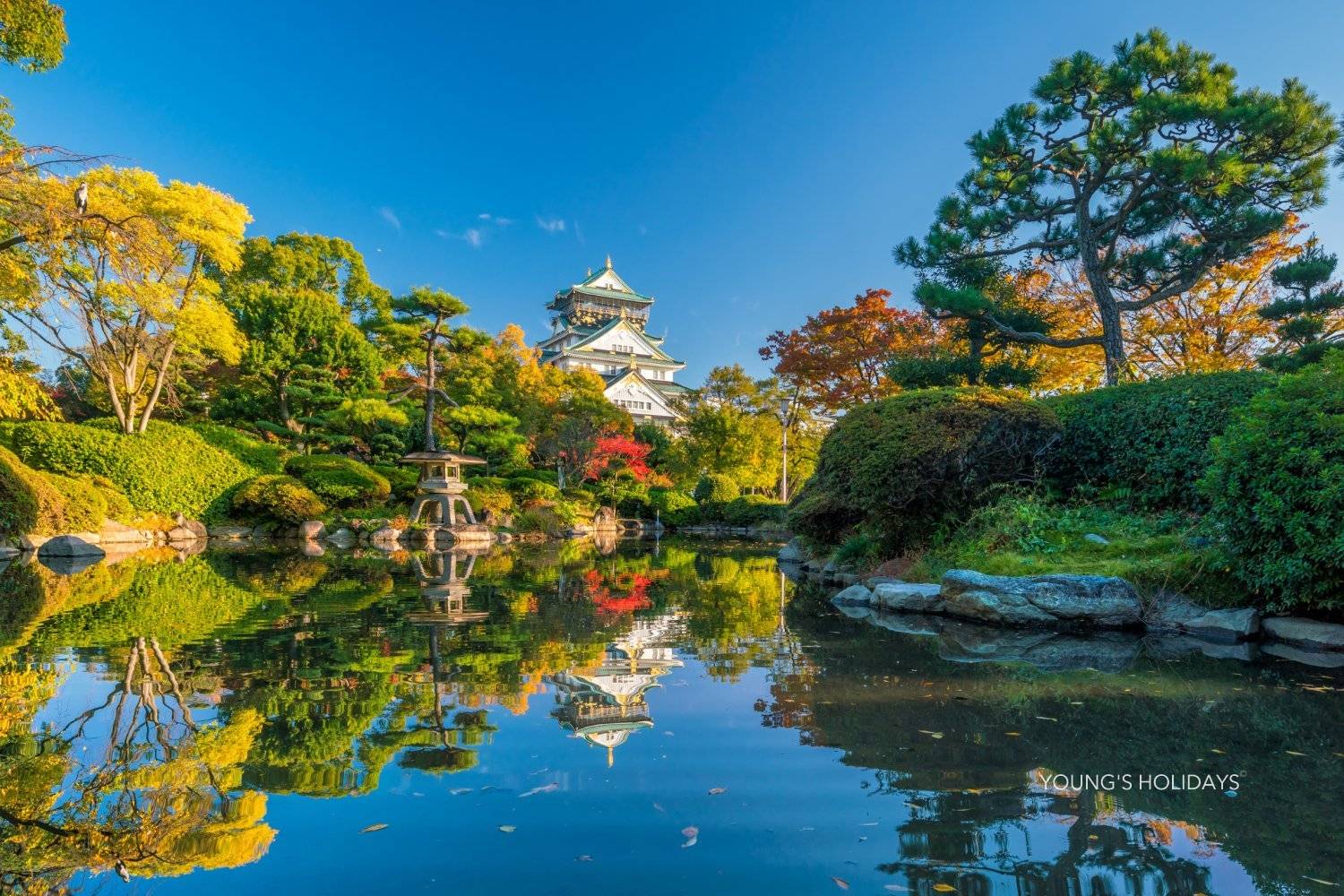 【Osaka】Japan 5ppl RV Caravan 24 hours Rental Experience(JOSS)