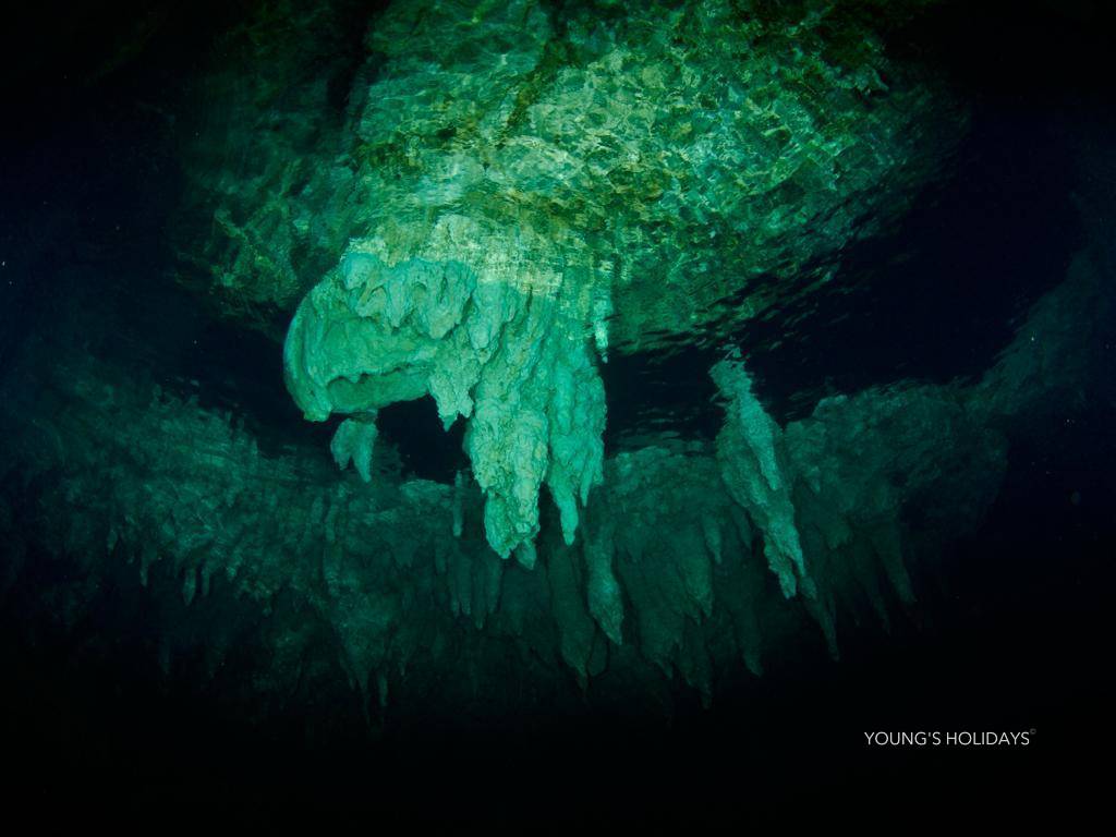 【Palau】6 Days 5 Nights Tour with diving instructor Ben (18th to 23th April 2025)