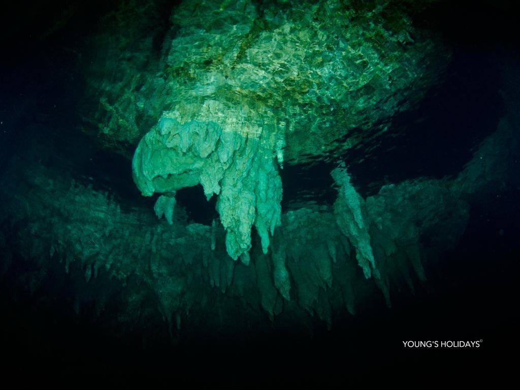 【Palau】6 Days 5 Nights Tour with diving instructor Berry (26th to 31st December 2026)