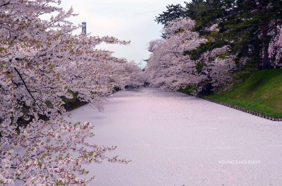 【JR Pass】JR EAST PASS | E-Ticket (5/10days)