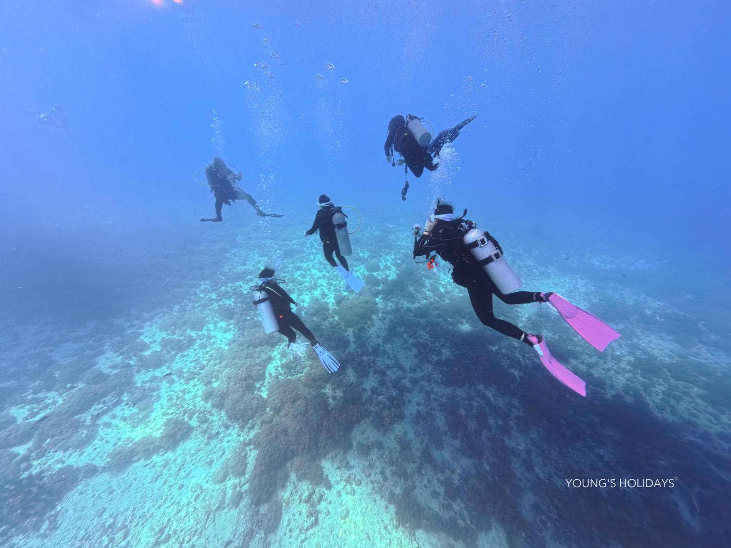 【Malapascua】Philippines 5 Days 4 Nights Tour 24th to 28th December 2026