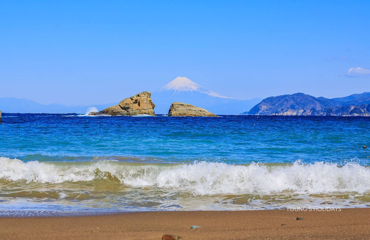 【Izu】Kumomi / Mikomoto IslandDiving with Hammerhead Sharks 4 Days 3 Nights Japan Diving Package