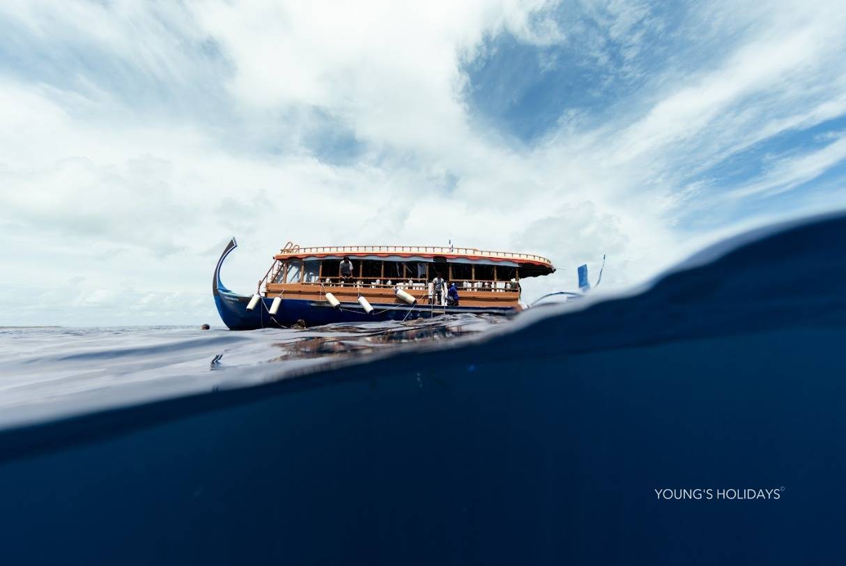 【Maldives】Cozy Scuba Club Fuvahmulah diving package