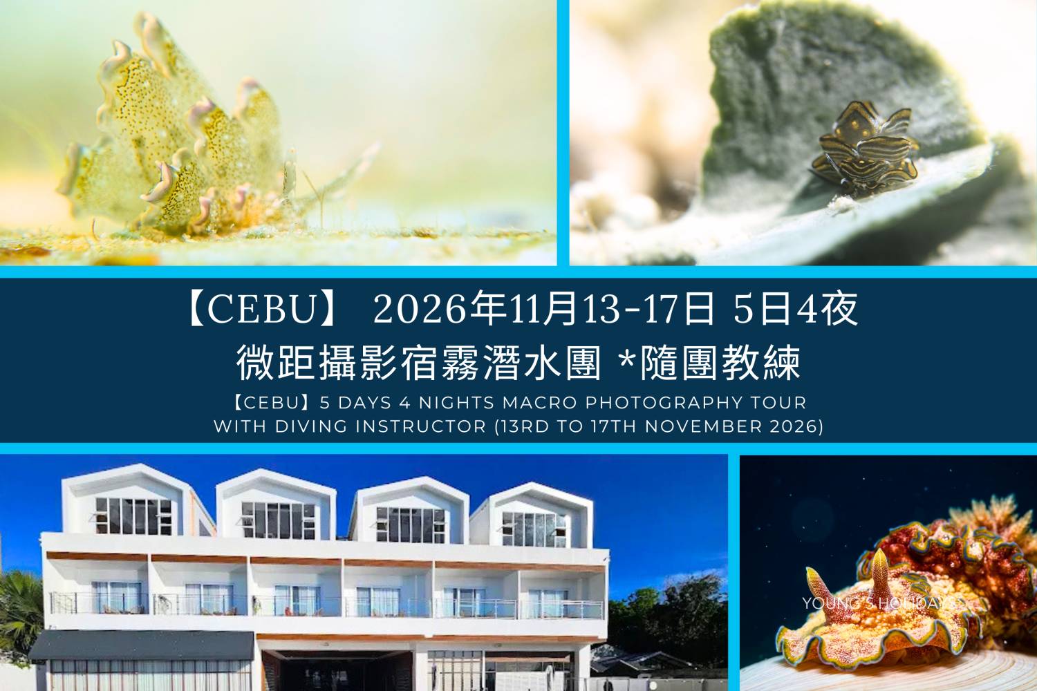 【Cebu】5 Days 4 Nights macro photography Tour with diving instructor (13rd to 17th November 2026)
