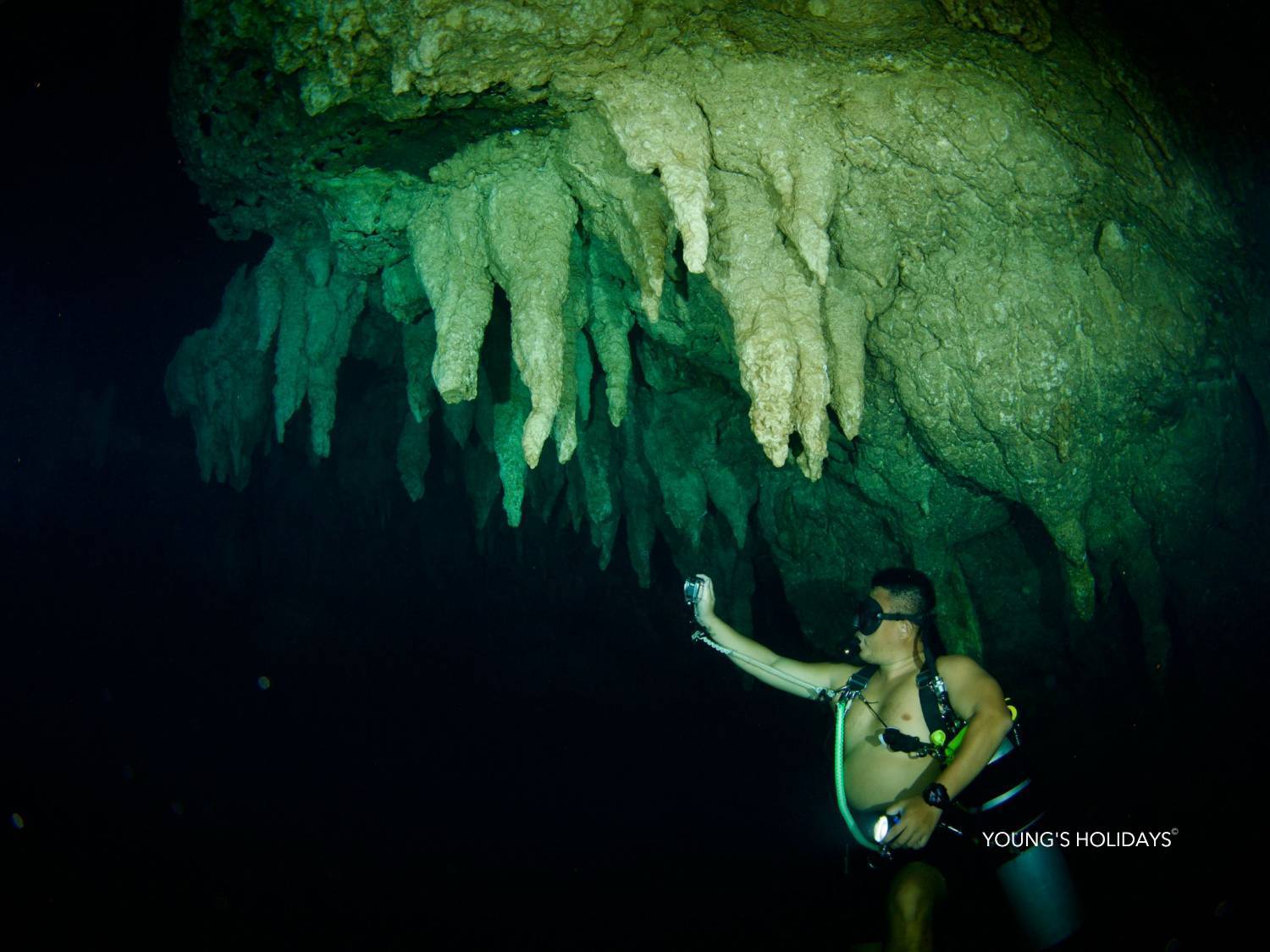 【Palau】6 Days 5 Nights Tour with diving instructor Berry (26th to 31st December 2026)