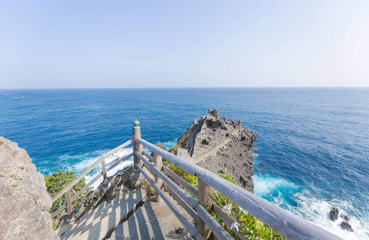 【Izu】Kumomi / Mikomoto IslandDiving with Hammerhead Sharks 4 Days 3 Nights Japan Diving Package