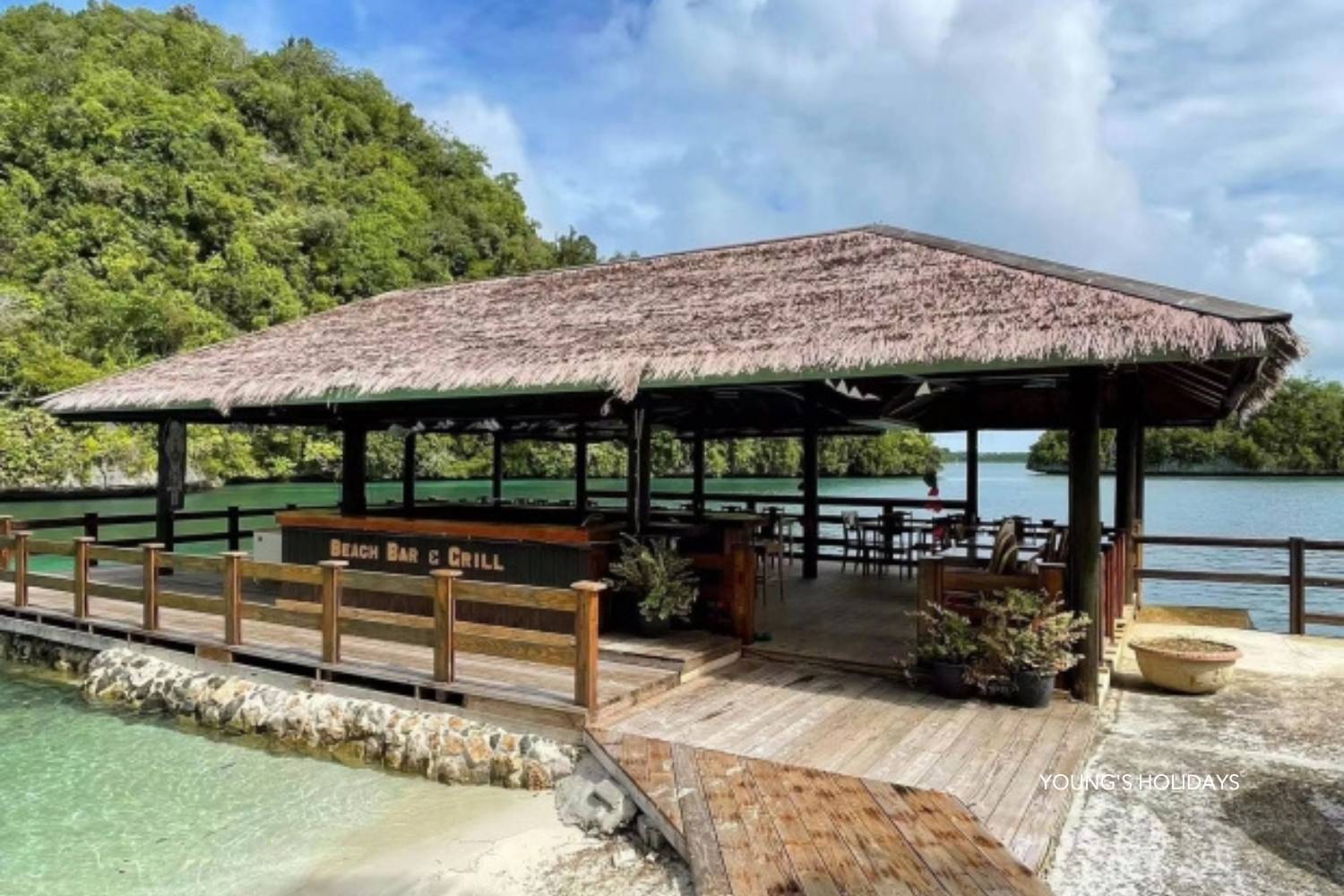 【Palau】6 Days 5 Nights Tour with diving instructor Berry (26th to 31st December 2026)
