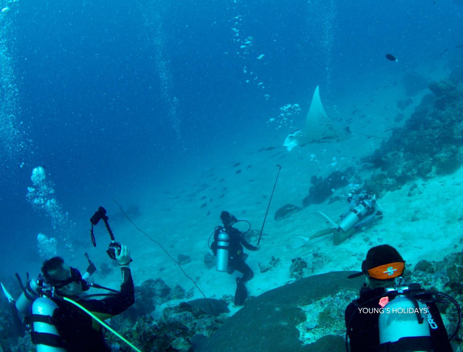 【Palau】6 Days 5 Nights Tour with diving instructor Berry (26th to 31st December 2026)