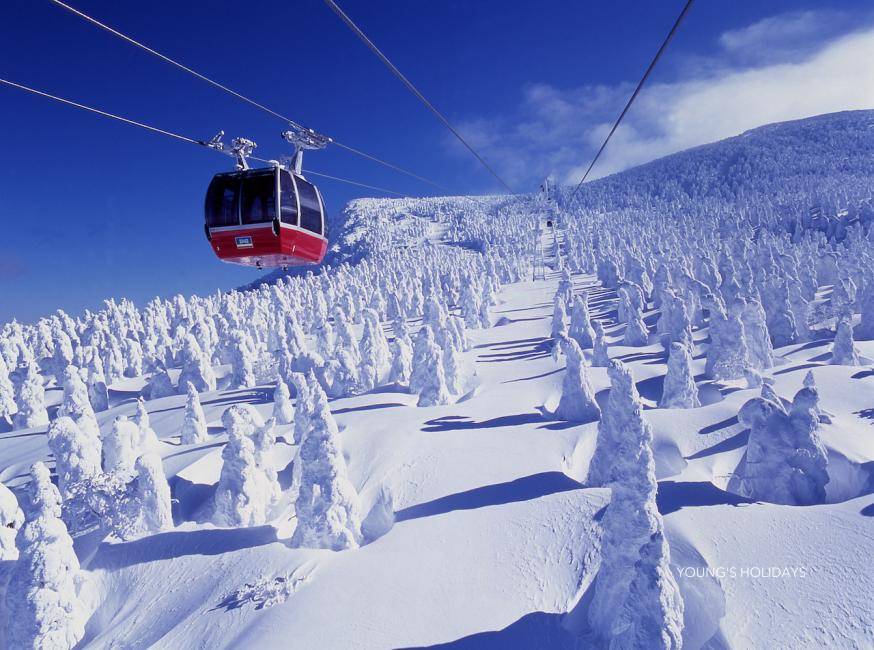 【JR Pass】JR EAST PASS | E-Ticket (5/10days)