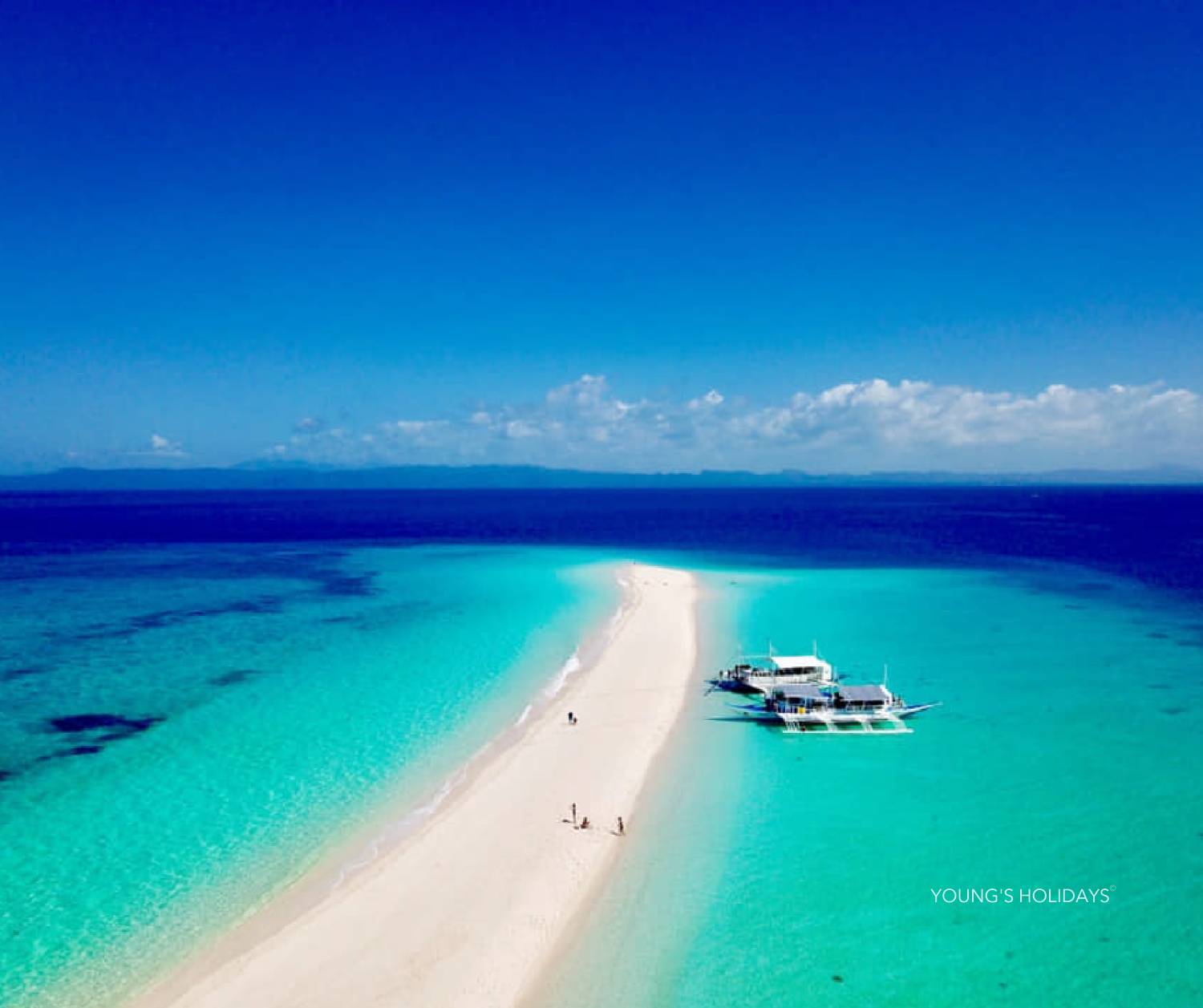 *FULL【Malapascua】Philippines  6 Days 5 Nights Tour 3rd to 8th April 2026 with Instructor David