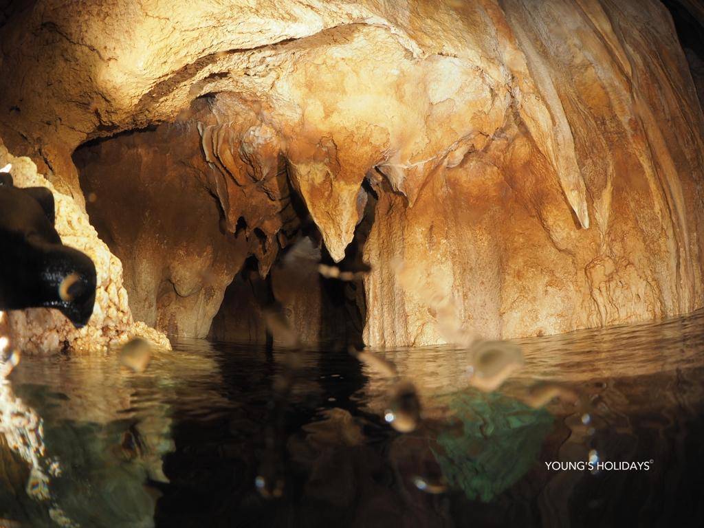 【Palau】6 Days 5 Nights Tour with diving instructor Berry (26th to 31st December 2026)