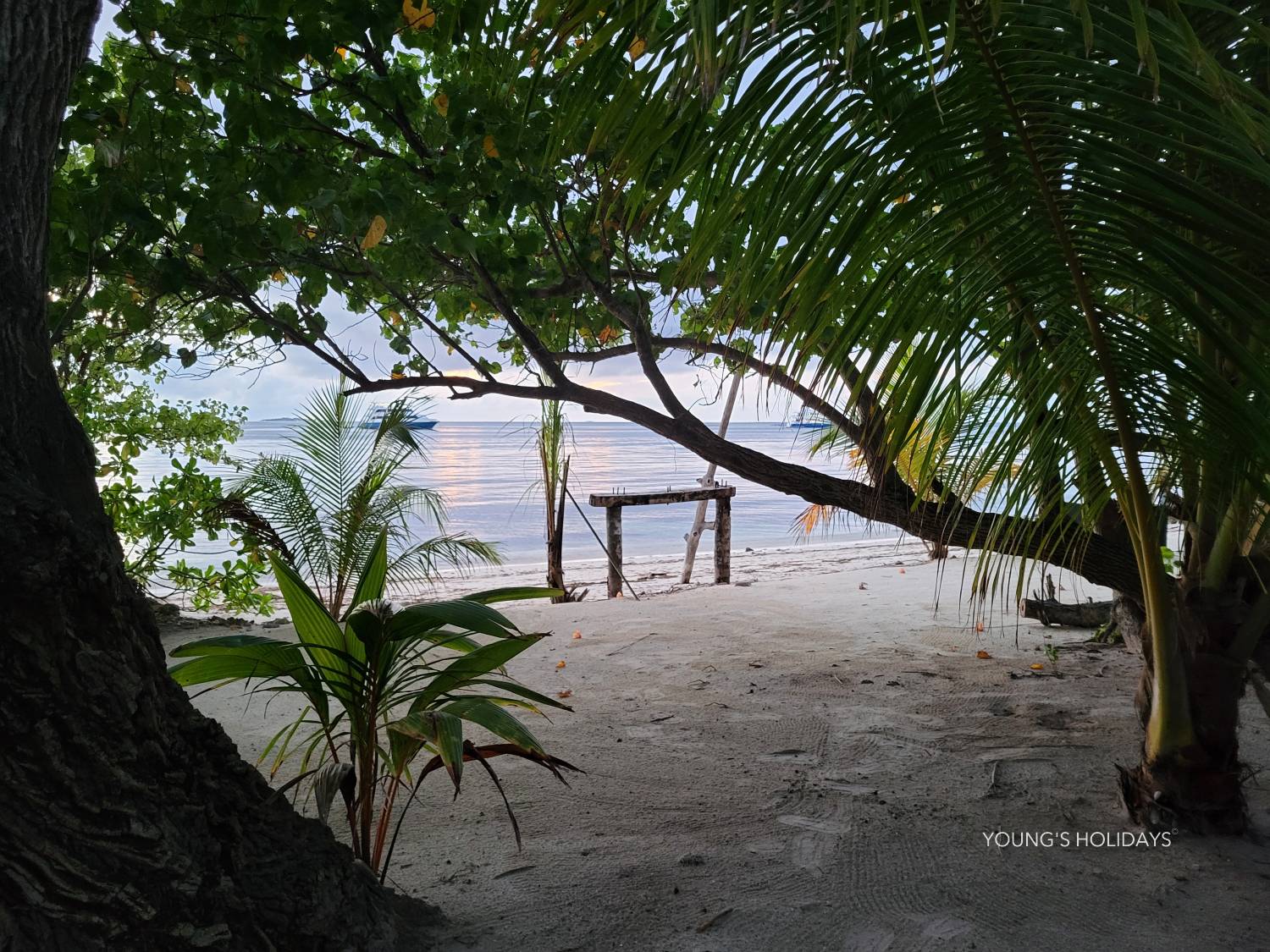 【Maldives】Cozy Art Dhangethi diving package