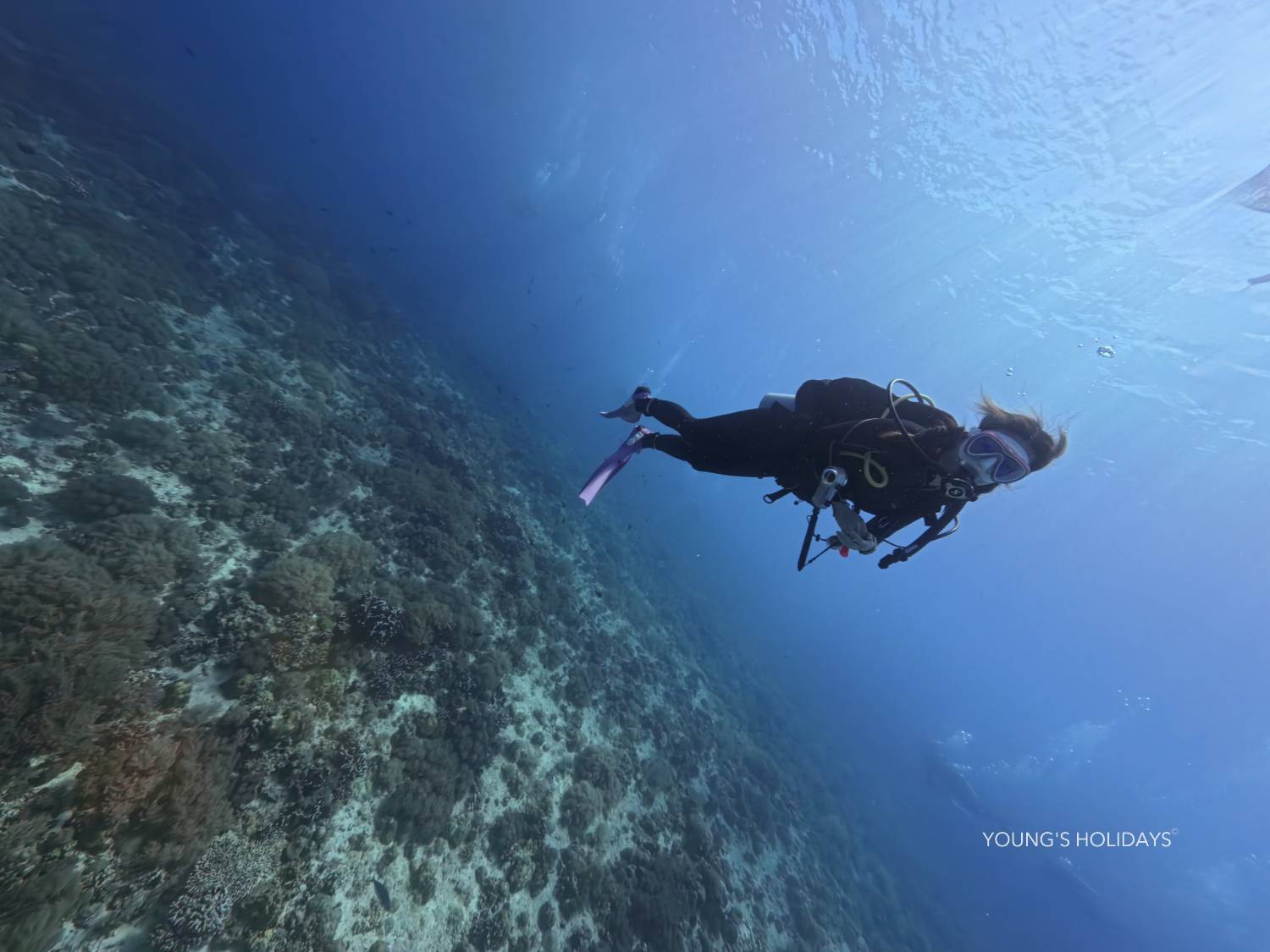 【Malapascua】Philippines 5 Days 4 Nights Tour 24th to 28th December 2026