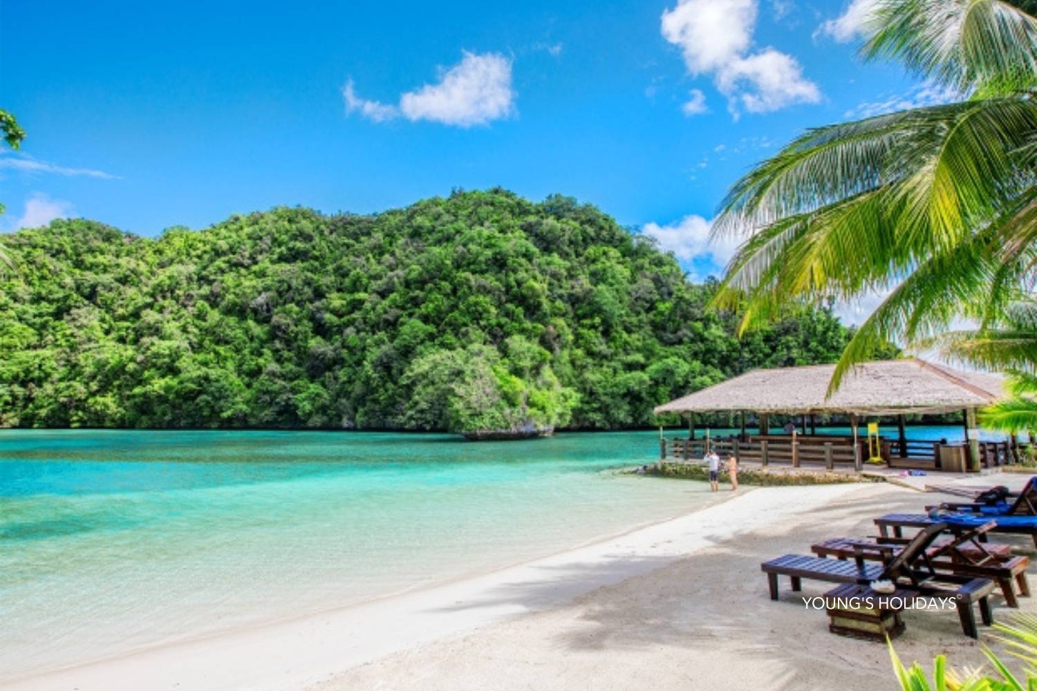 【Palau】6 Days 5 Nights Tour with diving instructor Berry (26th to 31st December 2026)
