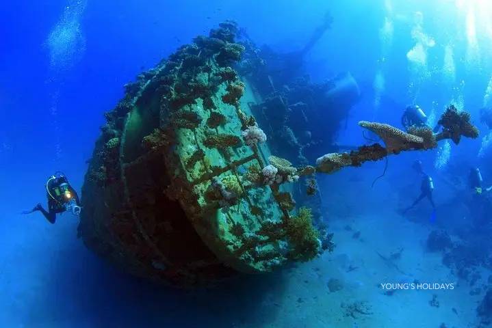 【Bali】8 days 7 Nights Diving Tour with Instructor Berry (26th SEP to 3th OCT)