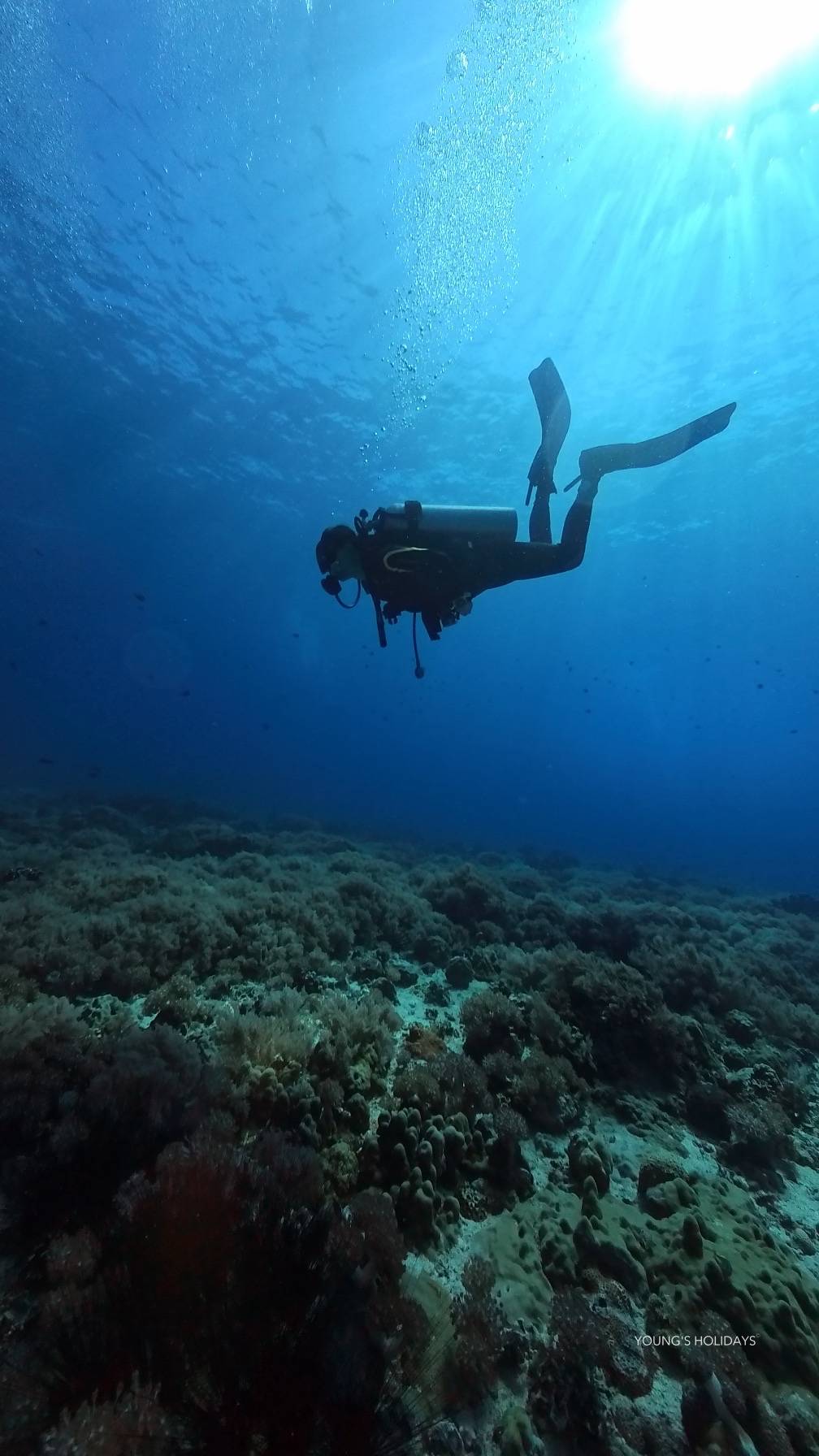【Malapascua】Philippines 5 Days 4 Nights Tour 24th to 28th December 2026