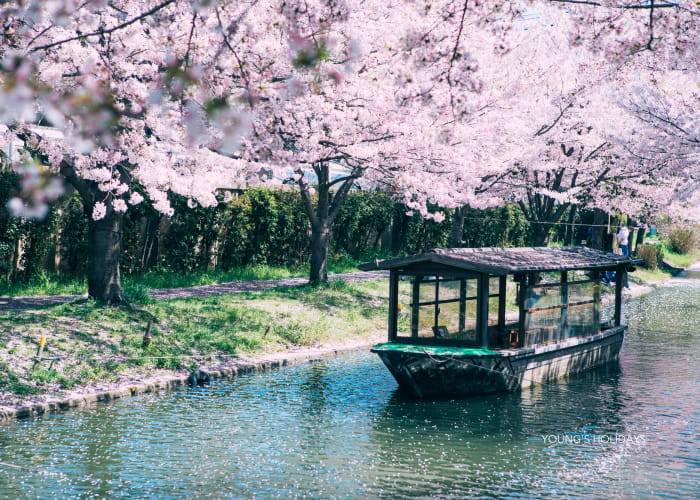 【Tokyo】Japan Rental Caravan RV Road Trip Experience (C-Happy1 Premium)