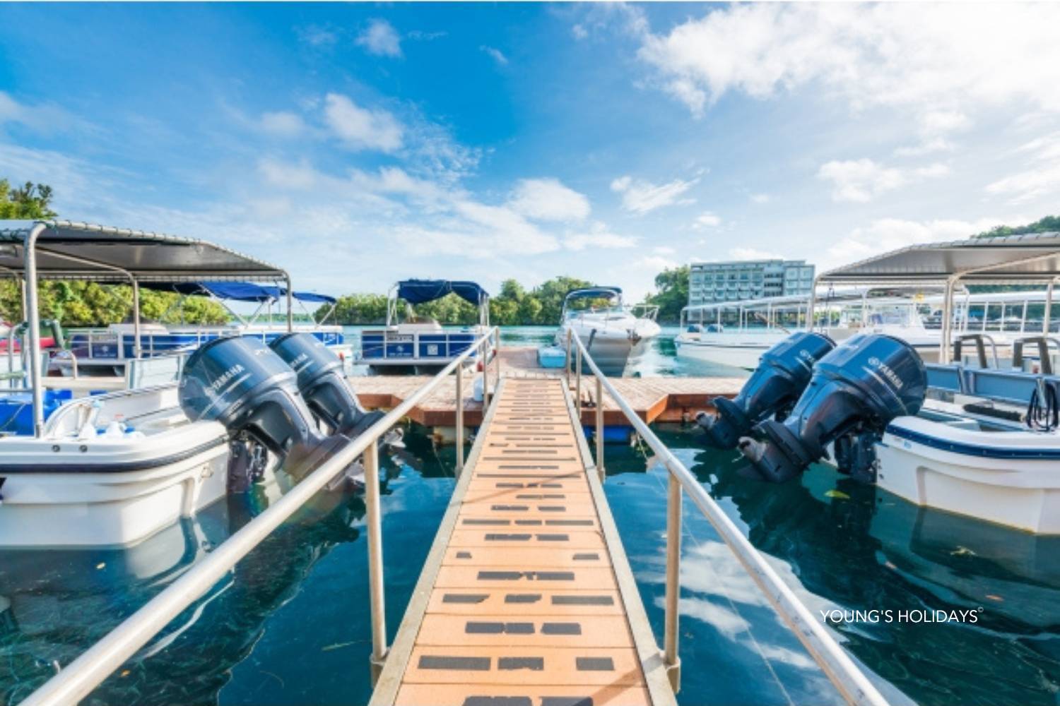 【Palau】6 Days 5 Nights Tour with diving instructor Berry (26th to 31st December 2026)