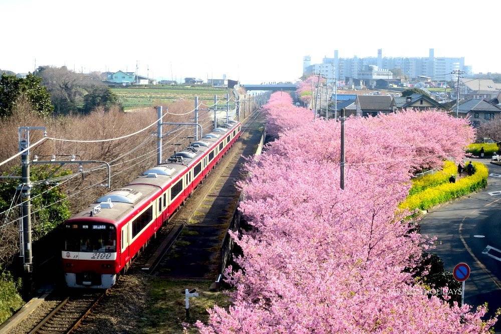 【Tokyo】Japan 6ppl RV Caravan 24 hours Rental Experience(JTSA)