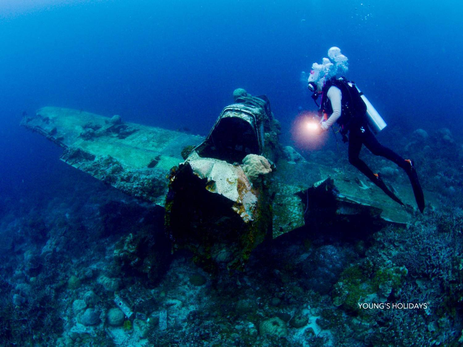 【Palau】6 Days 5 Nights Tour with diving instructor Berry (26th to 31st December 2026)