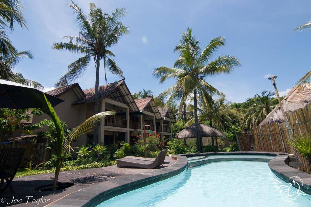 【Gili Trawangan】Lutwala Dive Resort Indonesia diving package
