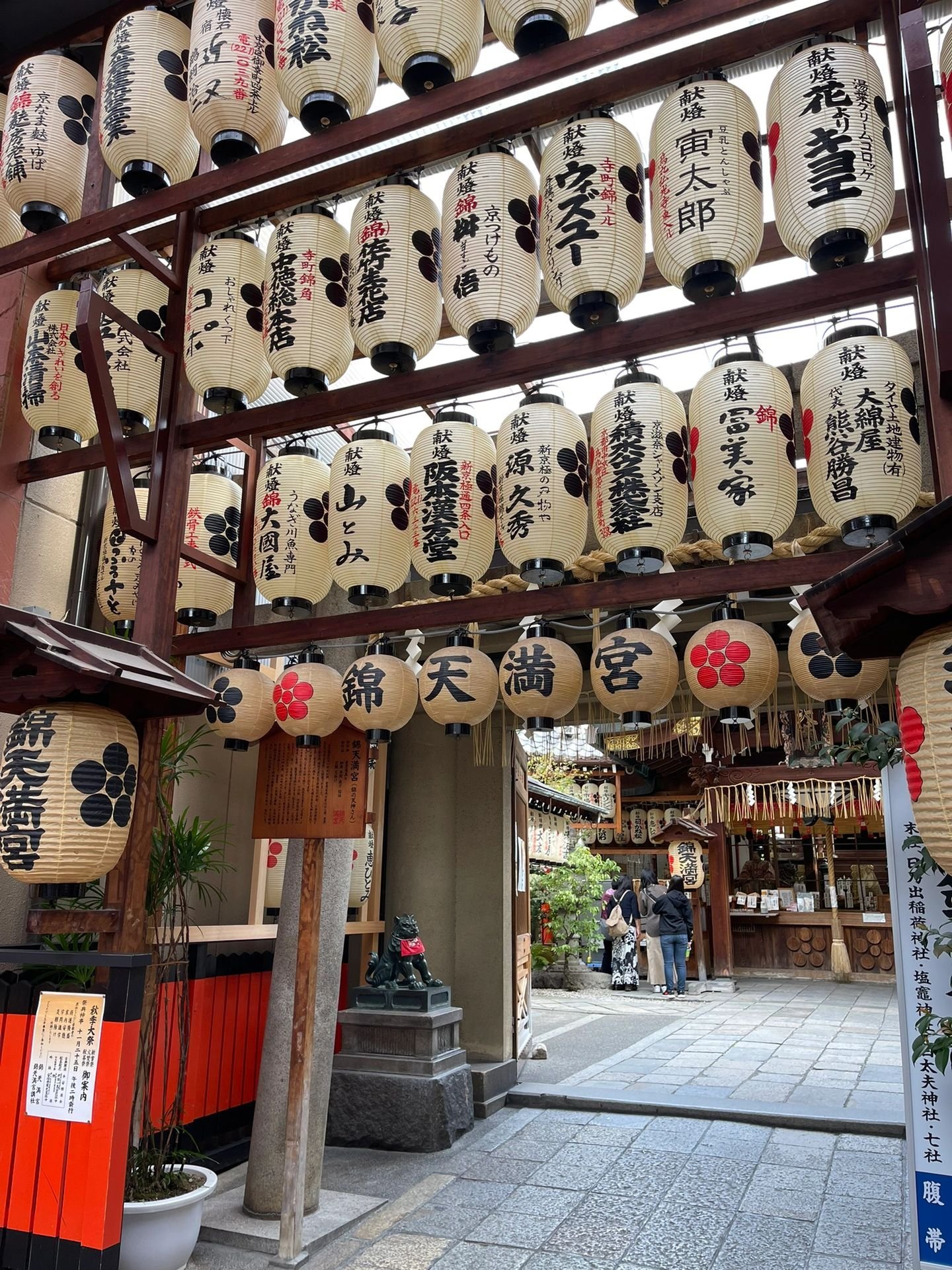 【Private Charter】Osaka 10-Hour Customized Cherry Blossom Viewing and Fruit Picking Tour to Kobe/Nara with Chinese-speaking Driver (7/10 Passenger Vehicle)