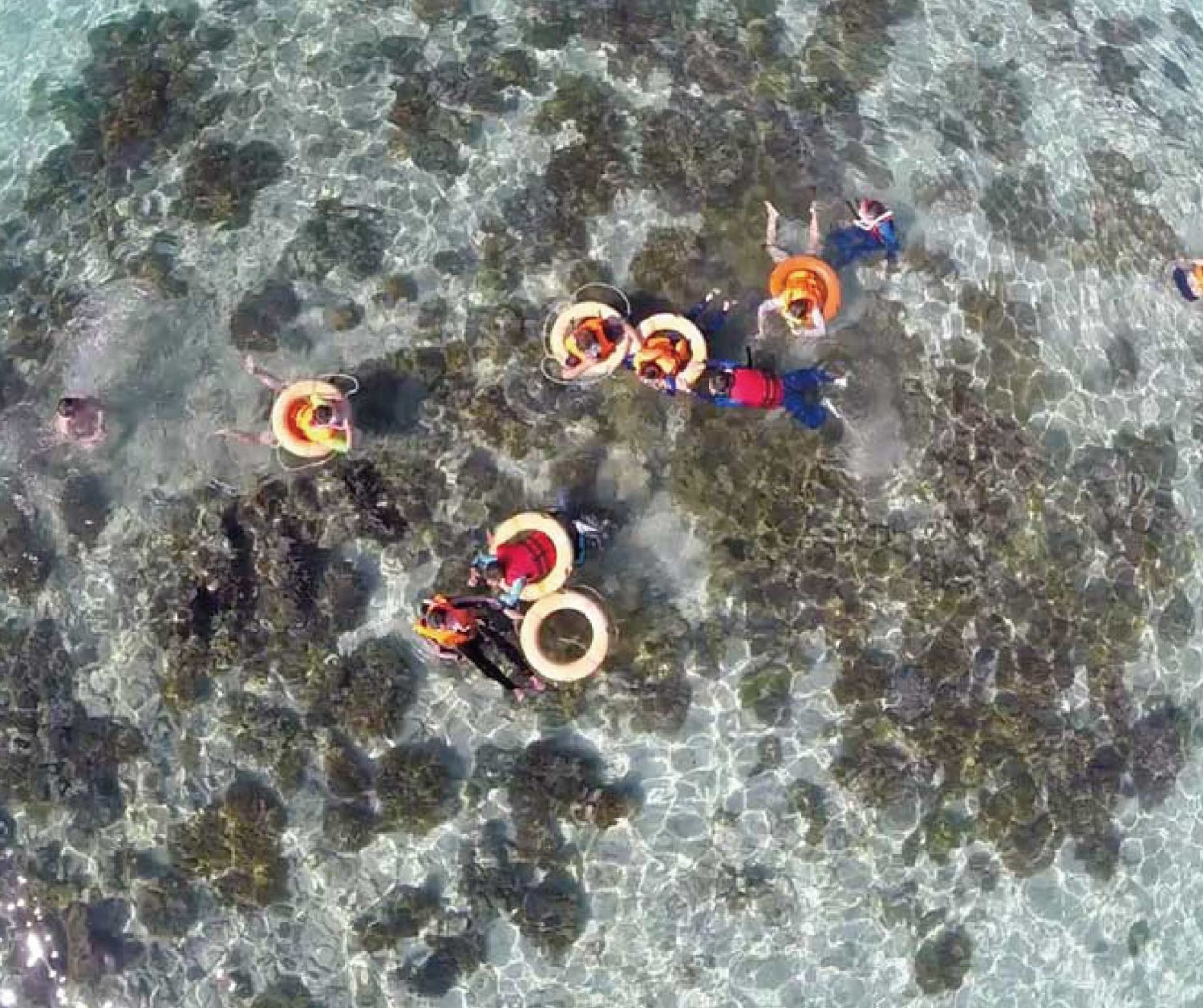 【Sipadan】Kapalai Dive Resort Malaysia Diving package