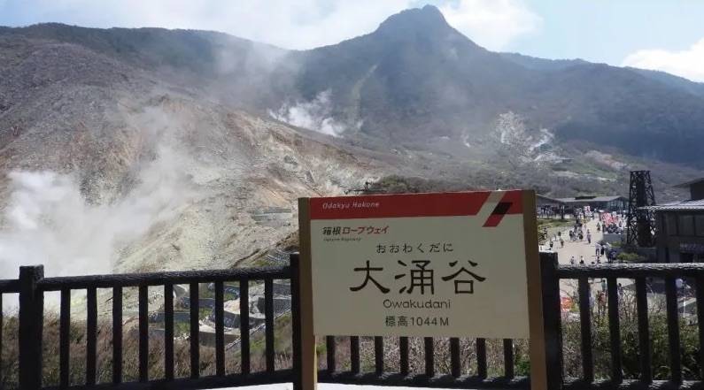【春日賞櫻】東京郊區三浦賞櫻、士多啤梨任食、吞拿魚市場包車一日遊