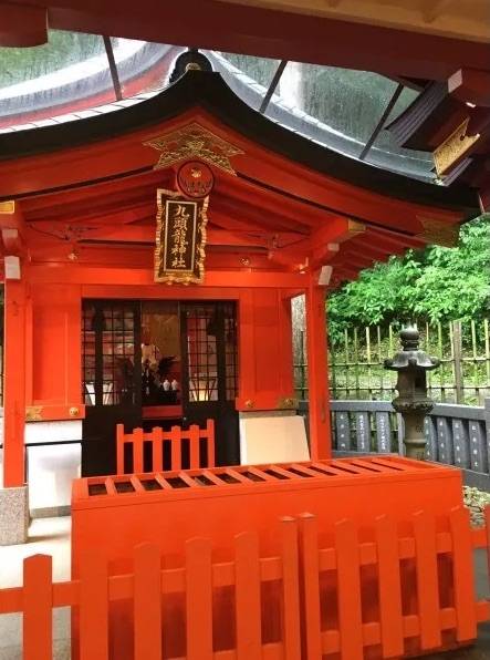 【春日賞櫻】東京郊區三浦賞櫻、士多啤梨任食、吞拿魚市場包車一日遊