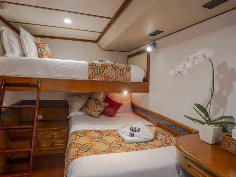 【Indonesia】Liveaboard Mermaid I