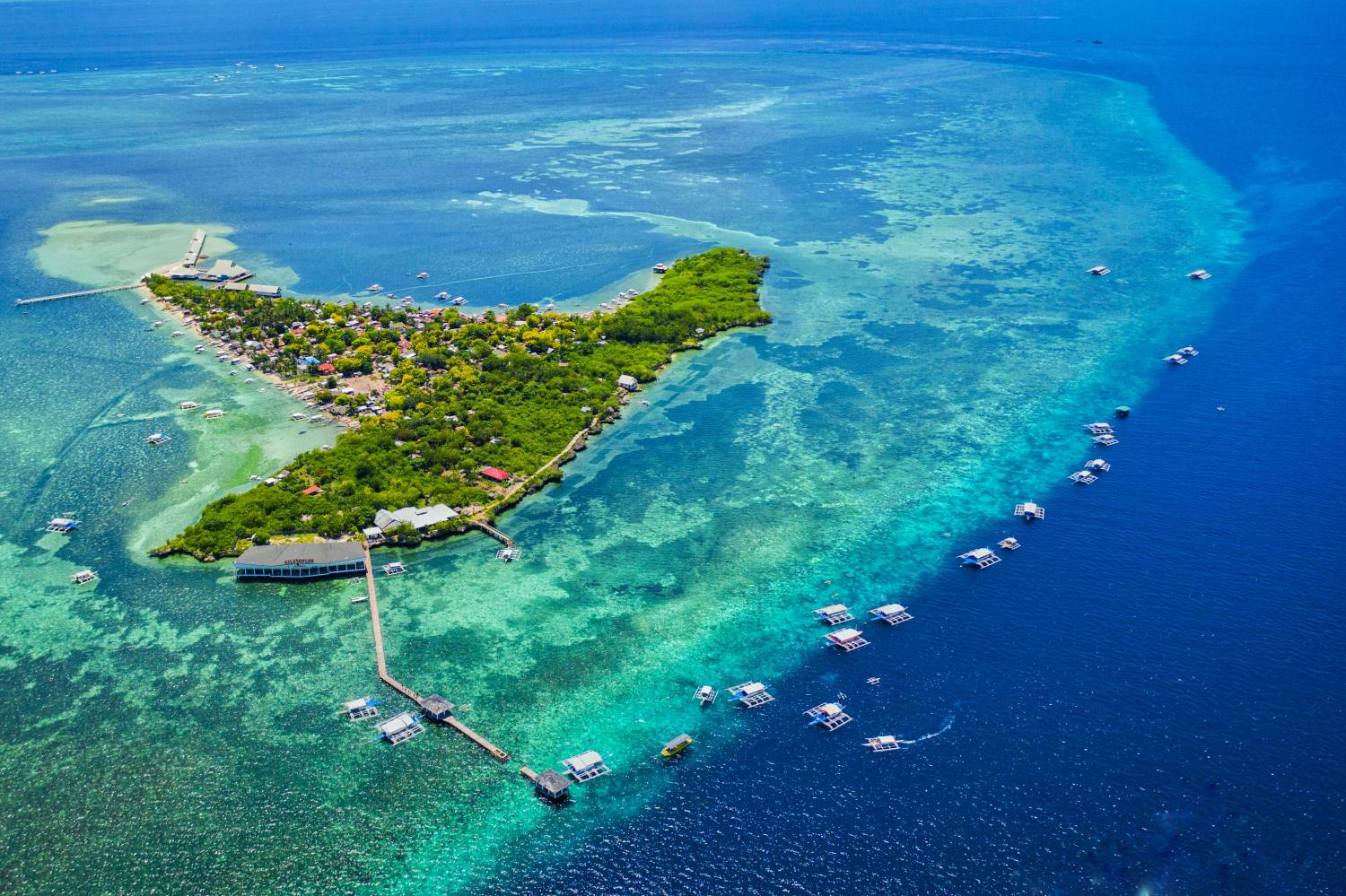 【Cebu】Paradive Mactan Scuba Diving Resort 4 days 3 nights Philippines Diving package
