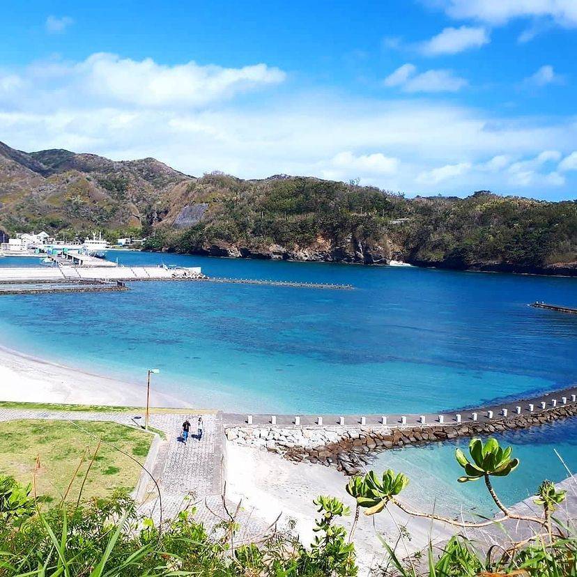 [Tokyo Ogasawara Island] Asia Galapagos Diving Heaven Ogasawara 7 Days 6 Nights Diving Tour