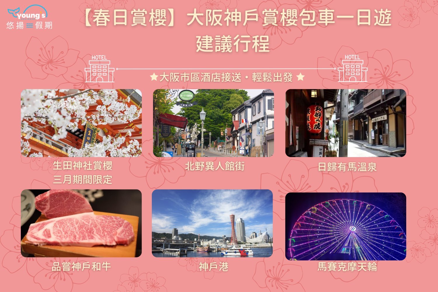 【Private Charter】Osaka 10-Hour Customized Cherry Blossom Viewing and Fruit Picking Tour to Kobe/Nara with Chinese-speaking Driver (7/10 Passenger Vehicle)