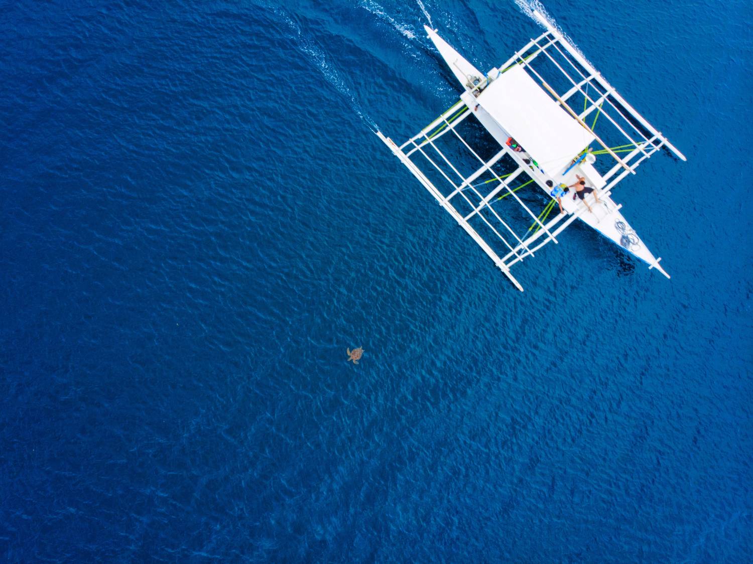 【Moalboal】墨寶Paradive Moalboal Scuba Diving Resort 4 days 3 nights Philippines Diving package