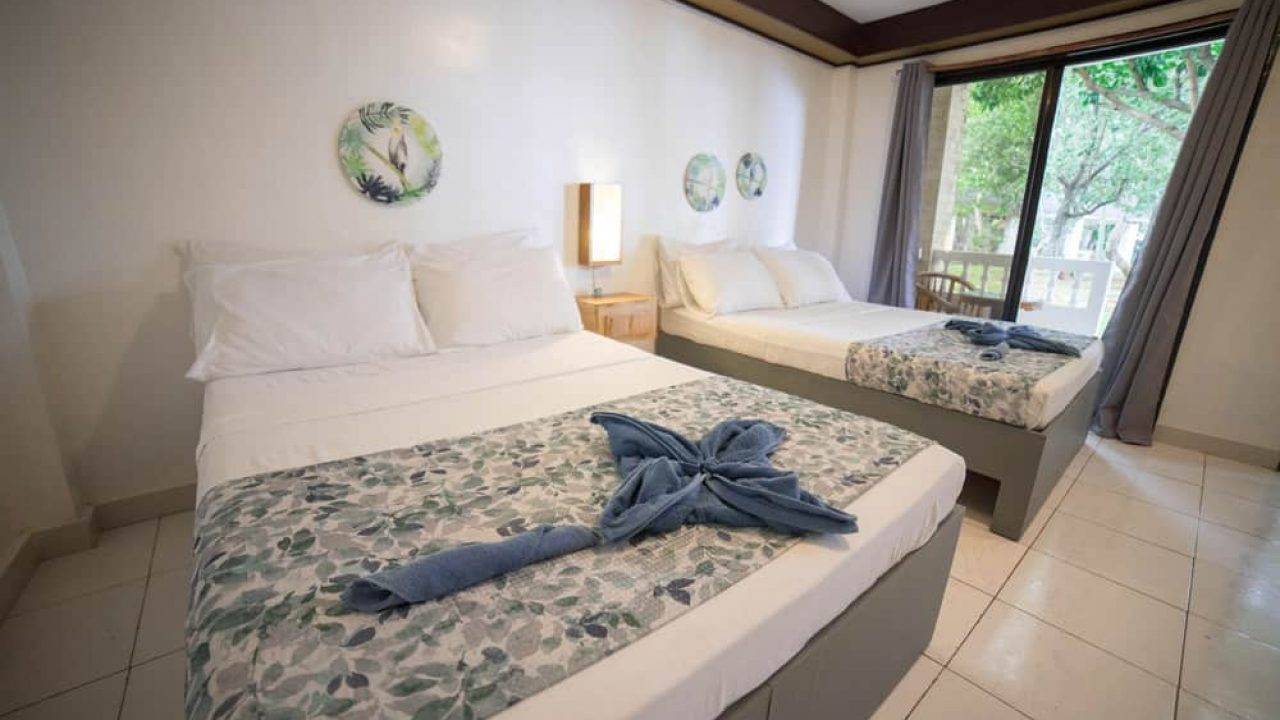 【Bohol】La Sirenita Dive Resort 5 days 4 nights Philippines Diving package