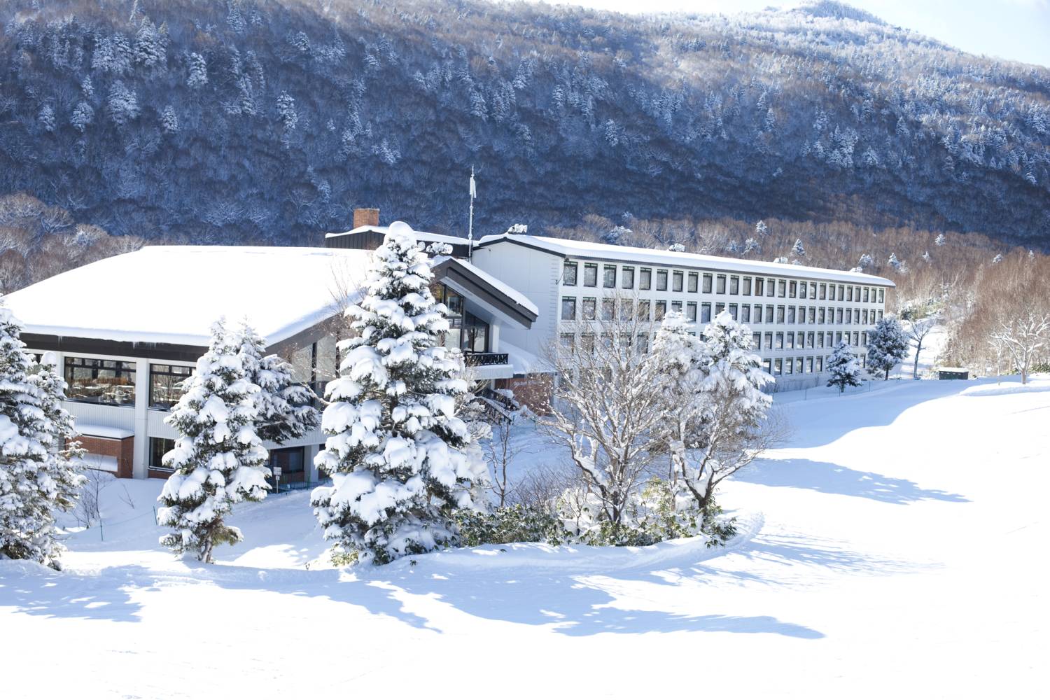 【Nagano】Shiga Kogen Prince Hotel (West Building) Japan Ski Hotel