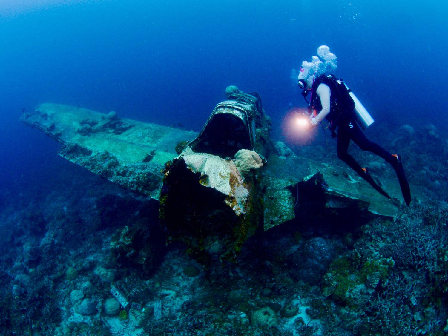 【Palau】*Macau Departure* 5D4N / 6D5N MK Hotel / Palau Royal Resort Diving Package