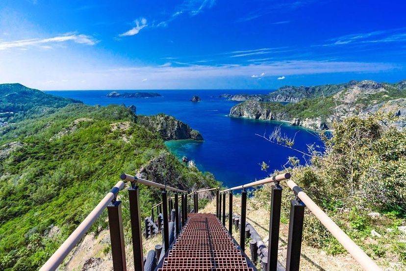 [Tokyo Ogasawara Island] Asia Galapagos Diving Heaven Ogasawara 7 Days 6 Nights Diving Tour