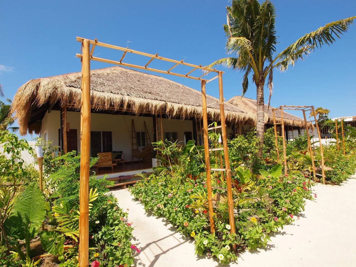 【Malapascua】Buena Vida Resort Philippines Diving package