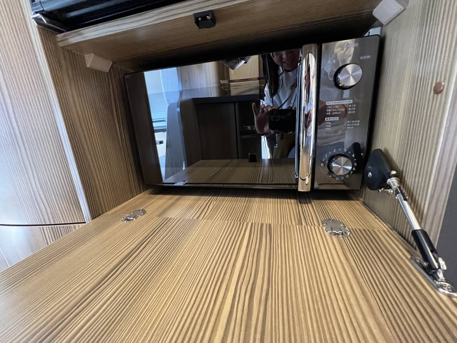 【Narita Airport】Japan Tokyo Caravan 24 hours Rental Experience(VT-ZiL 520)