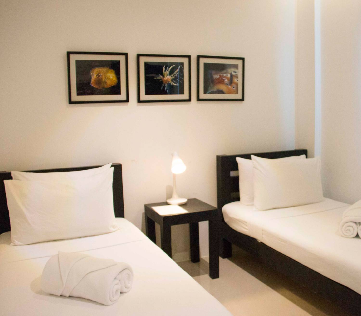 【Anilao】Casa Escondida Anilao Resort Beach & Dive Centre Philippines 5 days 4 nights Diving package