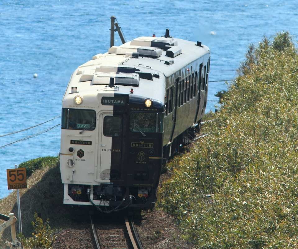 JR Kyushu Rail Pass: All Kyushu, Northern Kyushu, Southern Kyushu (3/5/7days)