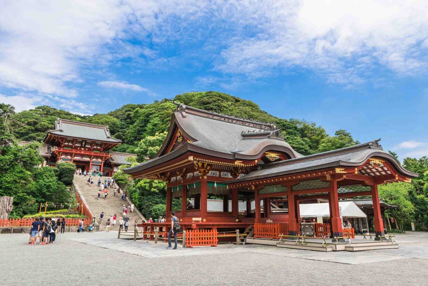【Private Charter】Tokyo 10-Hour Customized City Tour to Mount Fuji/Kamakura/Karuizawa/Nikko with Chinese-speaking Driver (7/10 Passenger Vehicle)