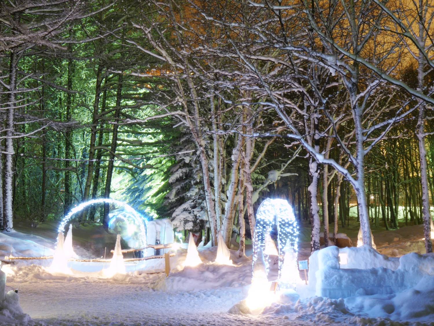 【Hokkaido】Shin Funano Prince Hotel Japan Ski Hotel