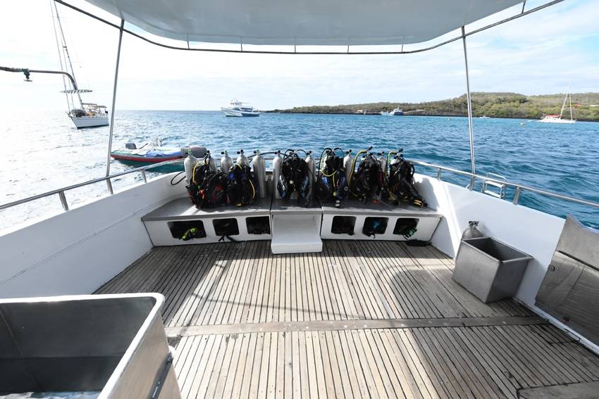 【Ecuador】Explorer Ventures-Humboldt Explorer Diving Package